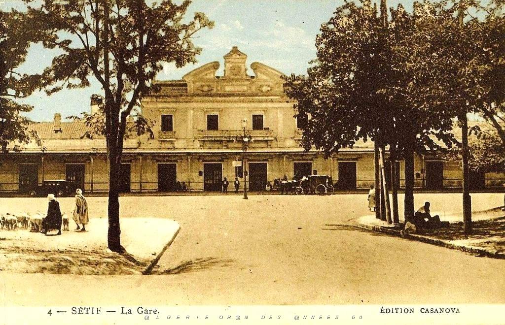 Setif 003 .jpg